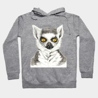 Lemur Hoodie